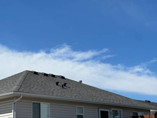 Best Asphalt Shingle Roofing  in Pleasant Prairie, WI